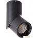 Спот Arte Lamp Orione A7717PL-1BK. Фото №1