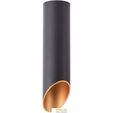 Лампа Arte Lamp Pilon-Gold A1535PL-1BK