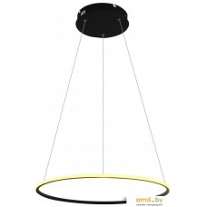 Подвесная люстра Arte Lamp Rapid A2500SP-1BK