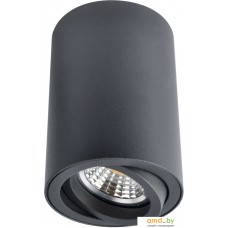 Точечный светильник Arte Lamp Sentry A1560PL-1BK