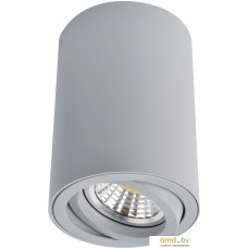 Точечный светильник Arte Lamp Sentry A1560PL-1GY