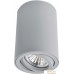 Точечный светильник Arte Lamp Sentry A1560PL-1GY. Фото №1