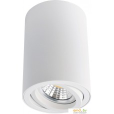 Точечный светильник Arte Lamp Sentry A1560PL-1WH