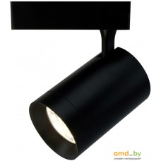 Трековый светильник Arte Lamp Soffitto Grande A1730PL-1BK