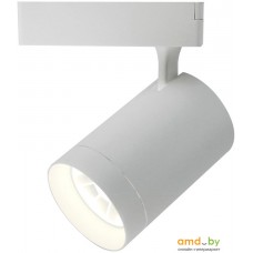 Трековый светильник Arte Lamp Soffitto Grande A1730PL-1WH