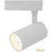 Трековый светильник Arte Lamp Soffitto Piccolo A1710PL-1WH. Фото №1