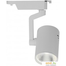 Трековый светильник Arte Lamp Traccia Medio A2320PL-1WH