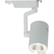 Трековый светильник Arte Lamp Traccia Medio A2321PL-1WH