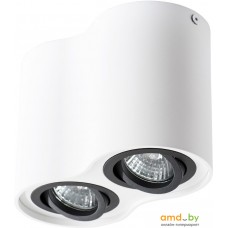 Точечный светильник Arte Lamp Falcon Grande A5644PL-2WH