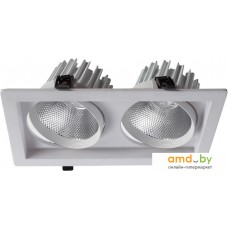 Точечный светильник Arte Lamp Privato A7018PL-2WH