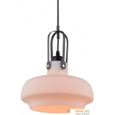 Подвесная люстра Arte Lamp Arno A3624SP-1WH