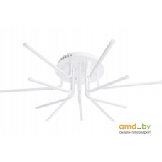 Припотолочная люстра Arte Lamp Stick A6207PL-12WH