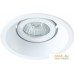 Спот Arte Lamp Taurus A6668PL-1WH. Фото №1