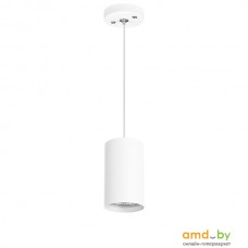 Подвесная люстра Lightstar Rullo RP436