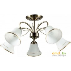 Люстра средней высоты Arte Lamp Blossom A2709PL-5AB