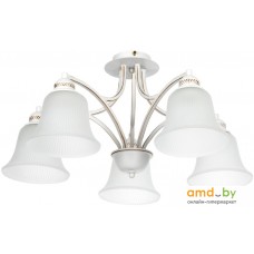 Люстра средней высоты Arte Lamp Emma A2713PL-5WG