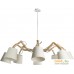 Подвесная люстра Arte Lamp Pinocchio A5700LM-8WH. Фото №1