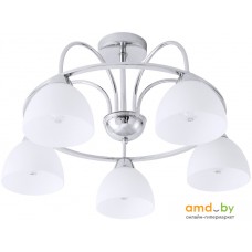 Люстра средней высоты Arte Lamp Palermo A6057PL-5CC