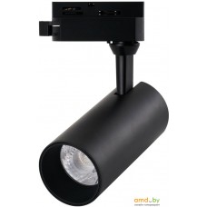 Трековый светильник Arte Lamp Regulus A4568PL-1BK