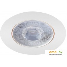 Точечный светильник Arte Lamp Kaus A4761PL-1WH