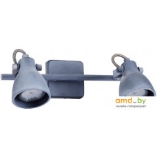 Спот Arte Lamp Gotto A9189AP-2GY