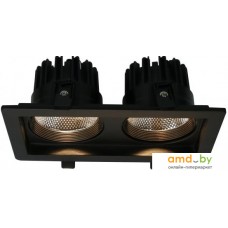 Точечный светильник Arte Lamp Privato A7007PL-2BK