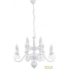 Подвесная люстра Arte Lamp Isabel A1129LM-12WH