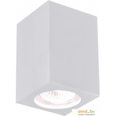 Точечный светильник Arte Lamp Tubo A9264PL-1WH