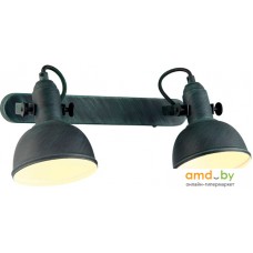 Точечный светильник Arte Lamp Martin A5213AP-2BG