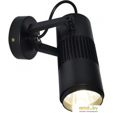 Точечный светильник Arte Lamp Track Lights A6520AP-1BK