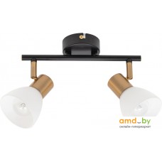 Спот Arte Lamp Falena A3117PL-2BK