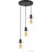 Подвесная люстра TK Lighting TKP3496. Фото №1