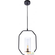 Подвесная люстра Arte Lamp Celaeno A7004SP-1BK