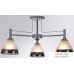 Припотолочная люстра Arte Lamp Fiamma A3521PL-3CC. Фото №2