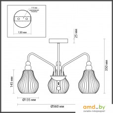 Люстра средней высоты Lumion Eleonora 4562/3C