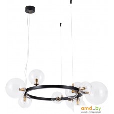 Подвесная люстра Arte Lamp Vincent A7790SP-10BK