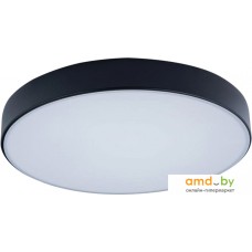 Люстра-тарелка LOFT IT Axel 10002/24 Black