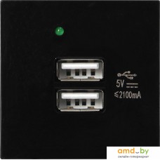 Розетка USB Orno OR-GM-9010/B/USBX2