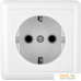 Розетка Schneider Electric Хит RA16-133-B. Фото №1