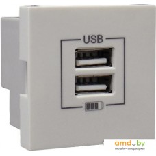 Розетка USB Efapel 45439 SGE