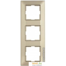 Рамка Panasonic Arkedia Slim WNTF08132BR-BY