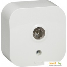 Розетка телевизионная Legrand Quteo 7 822 15 (белый)