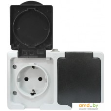 Розетка Smart Buy SBE-04w-16-S2-Z