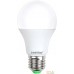 Светодиодная лампочка SmartBuy A60 E27 13 Вт 3000 К [SBL-A60-13-30K-E27-A]. Фото №1
