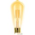 Светодиодная лампочка Фотон LED FL ST64 6W E27 2200K (серия Декор). Фото №1