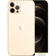 Смартфон Apple iPhone 12 Pro 128GB (золотой)