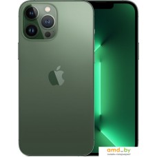 Apple iPhone 13 Pro Max 256GB (альпийский зеленый)