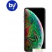 Смартфон Apple iPhone XS Max 256GB Восстановленный by Breezy, грейд B (серый космос). Фото №2