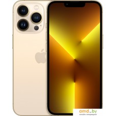 Смартфон Apple iPhone 13 Pro 128GB Восстановленный by Breezy, грейд B (золотой)