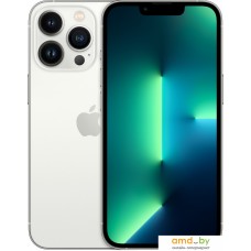 Смартфон Apple iPhone 13 Pro 1TB Восстановленный by Breezy, грейд B (серебристый)